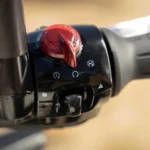Royal Enfield Bear 650 2025