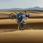 Yamaha Tenere 700 2025 V11