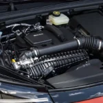 BYD Dolphin híbrido plug in